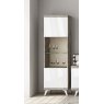 Status SRL Italy Status Treviso Grey 1 Door Vitrine