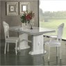 Ben Company Ben Company New Venus White & Silver Dining Set with Rectangular Table